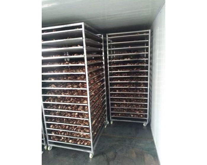 1647768124194433.jpg 2.jpg