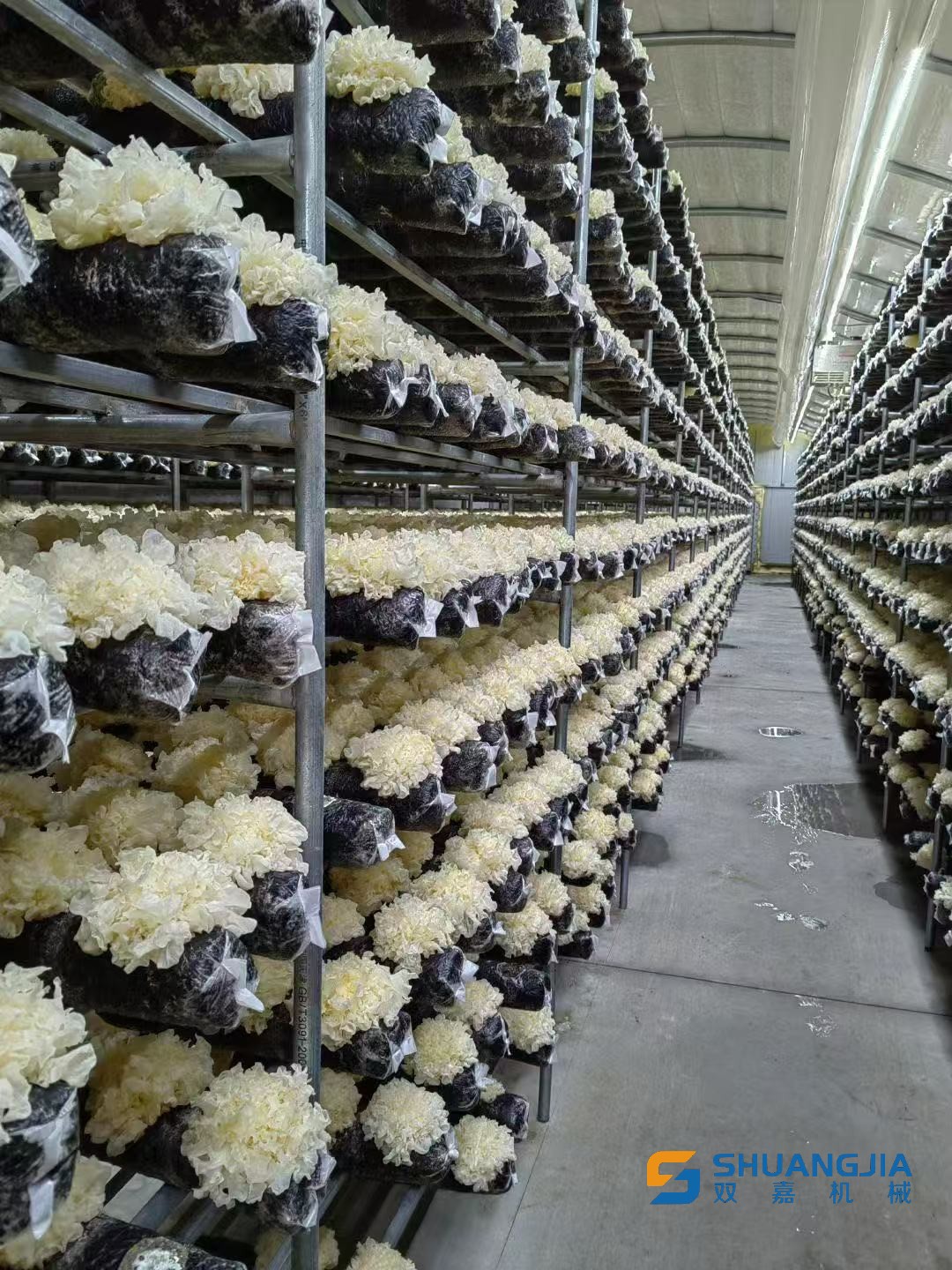 1772713503284838.jpg 微信圖片_20260305202227.jpg