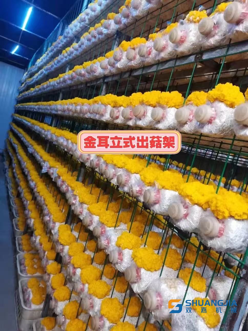 1772713599907673.jpg 微信圖片_20260305202231.jpg